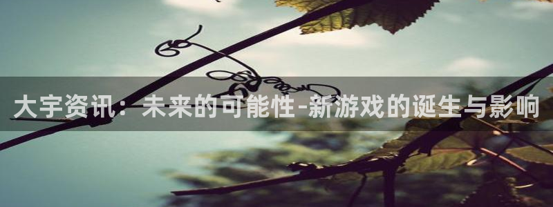 天美娱乐科技：大宇资讯：未来的可能性-新游戏的诞生与影响