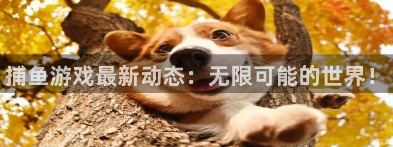 沐春天美娱乐：捕鱼游戏最新动态：无限可能的世界！
