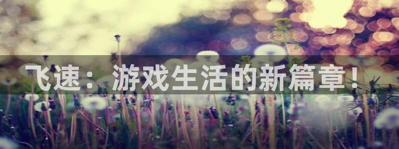 天美娱乐app下载地址：飞速：游戏生活的新篇章！