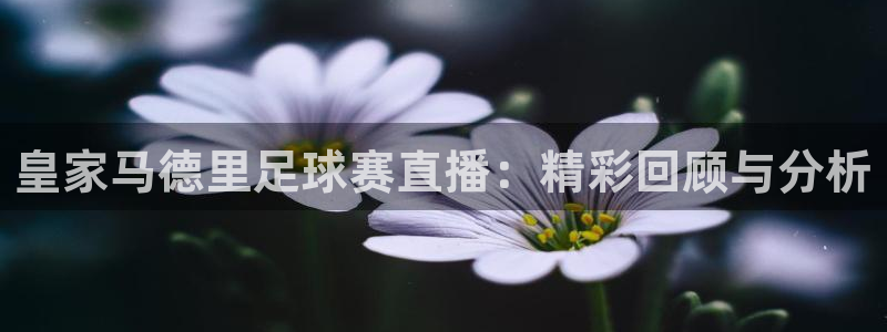 龙珠足球直播360直播