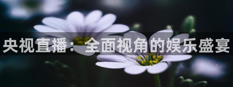 360直播吧雨燕