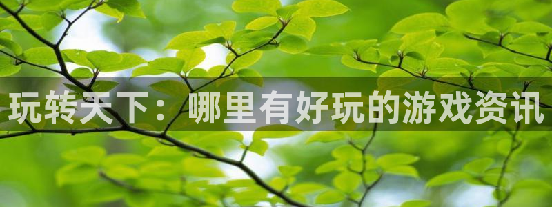天美娱乐登陆测速：玩转天下：哪里有好玩的游戏资讯