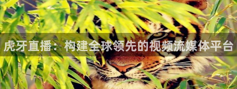 足球直播360直播视频：虎牙直播：构建全球领先的视频流媒体平台